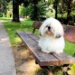 Milou gozando en el parque!!